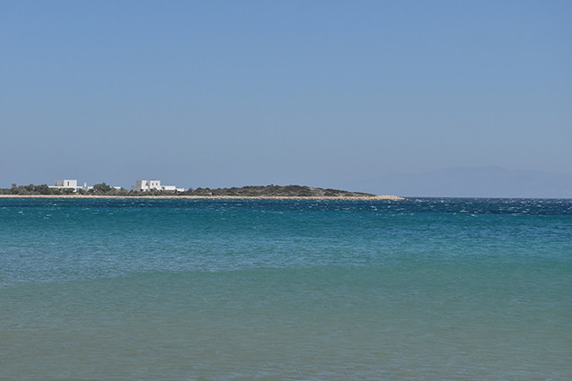 PS8a